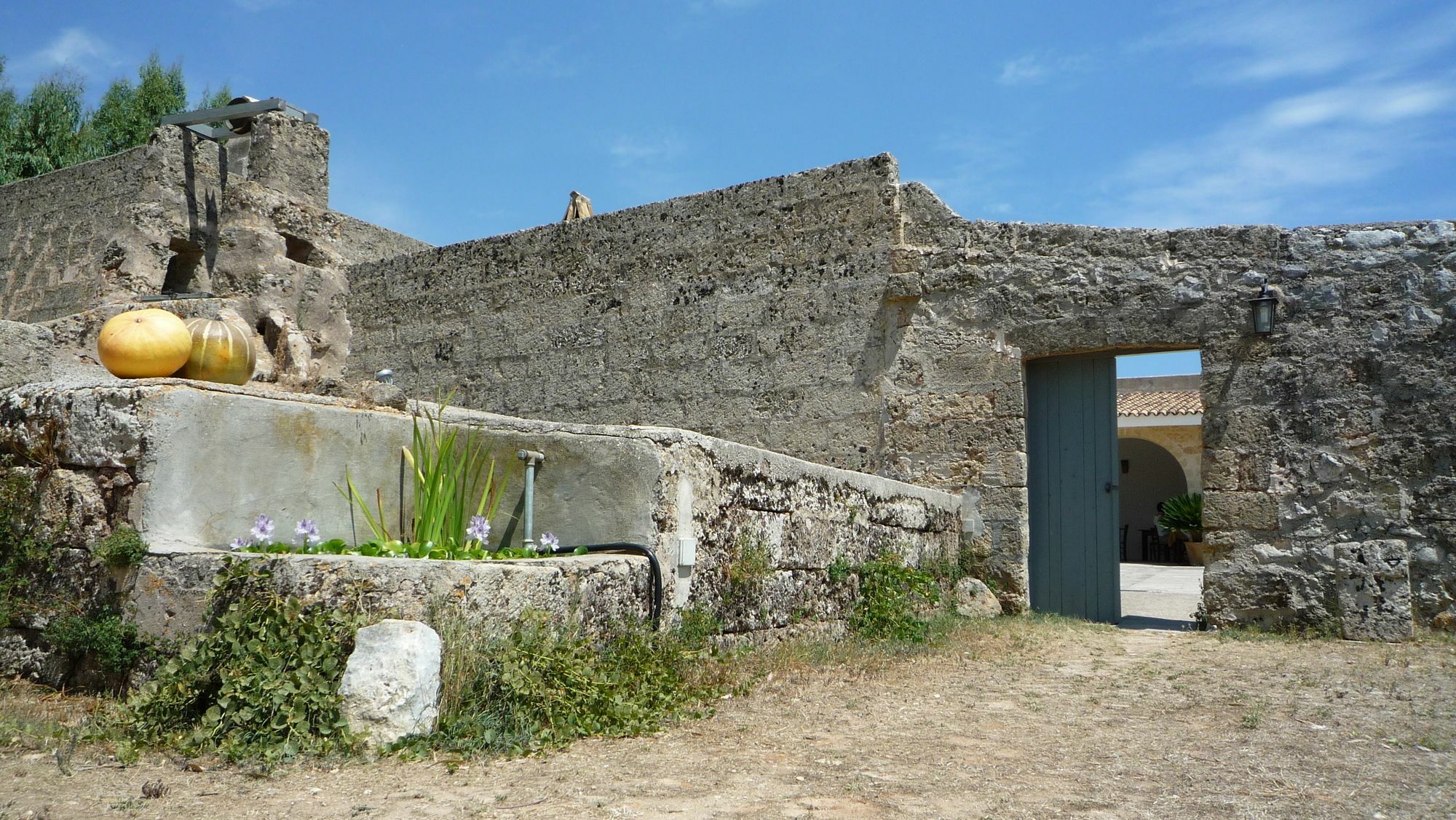 טריקאסה Masseria Uccio מראה חיצוני תמונה